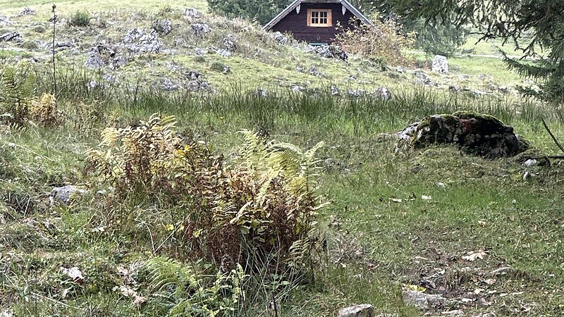 Zemljevid