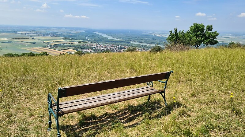 Zemljevid