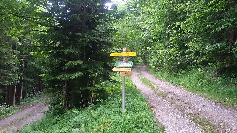 Zemljevid