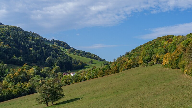 Zemljevid
