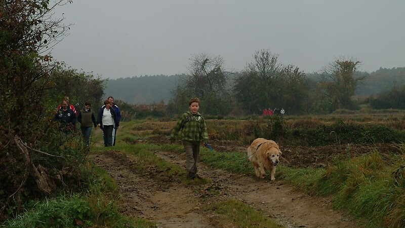 Zemljevid