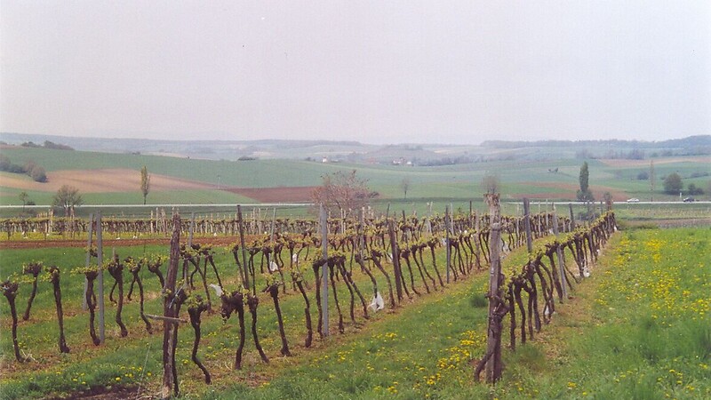 Zemljevid
