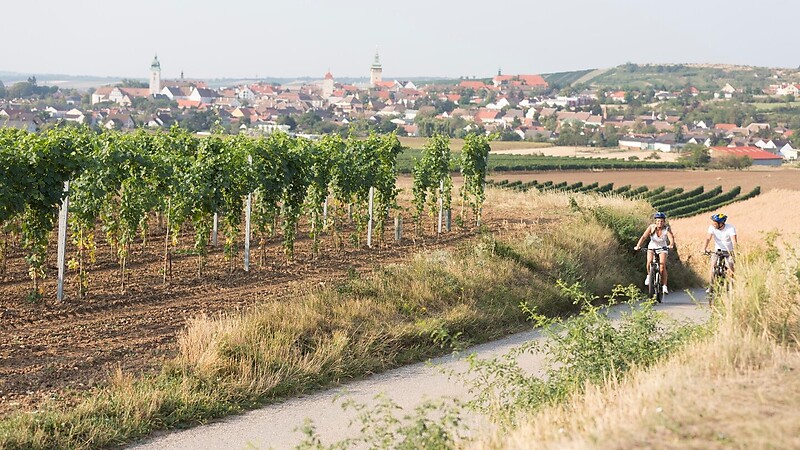 Zemljevid
