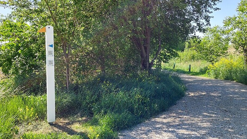 Zemljevid