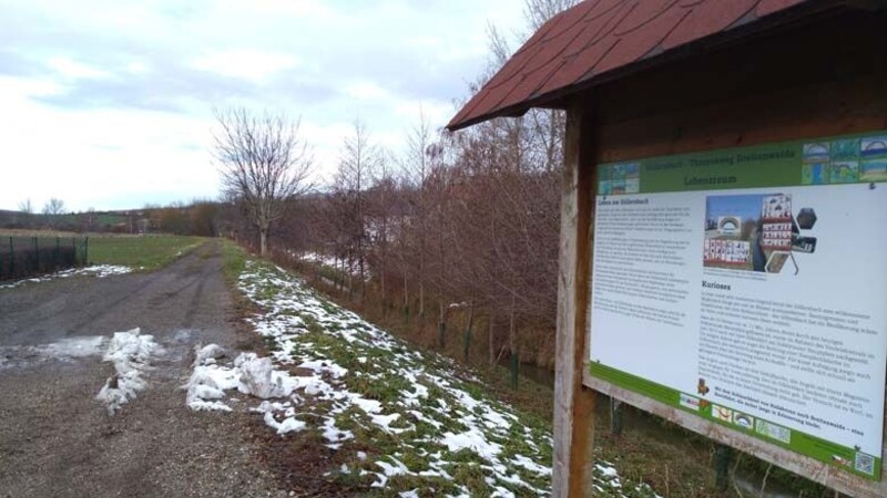 Zemljevid