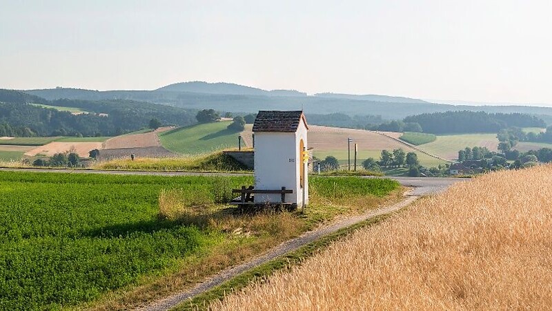 Zemljevid
