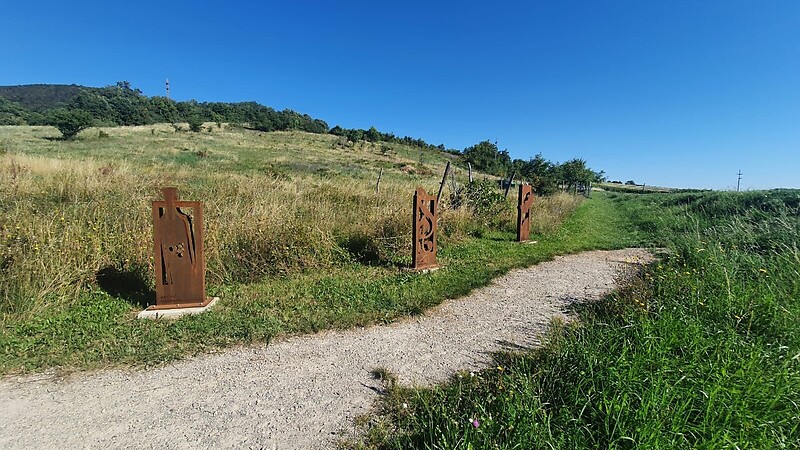 Zemljevid