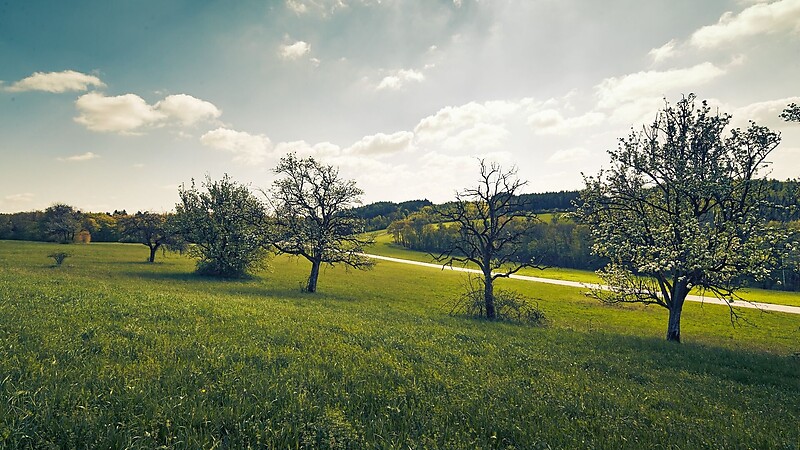 Zemljevid