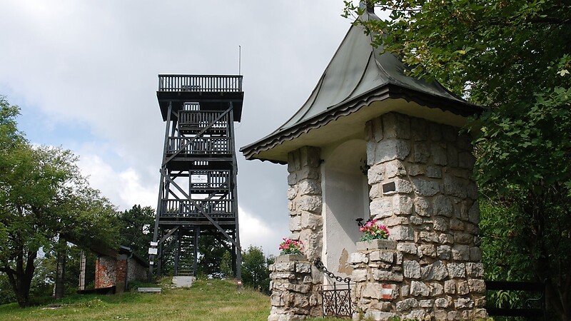 Zemljevid