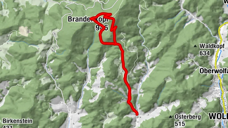 Zum König des Mittleren Schwarzwalds - Auf den Brandenkopfgipfel