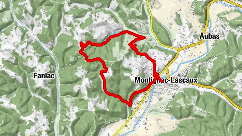 Boucle des Etangs de Coulonge n° 18 / Montignac-Lascaux