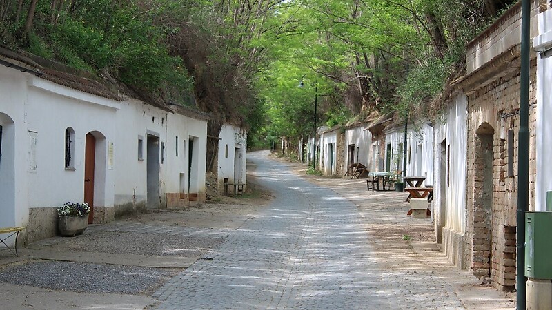 Zemljevid