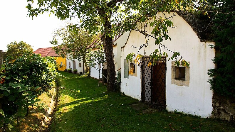 Zemljevid