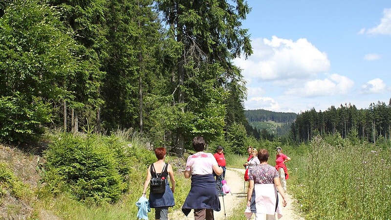 Zemljevid