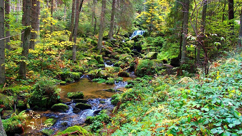 Zemljevid
