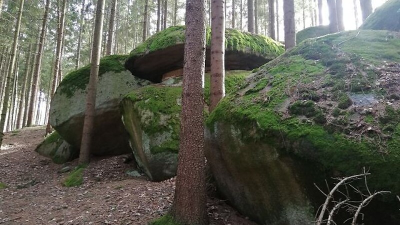 Zemljevid