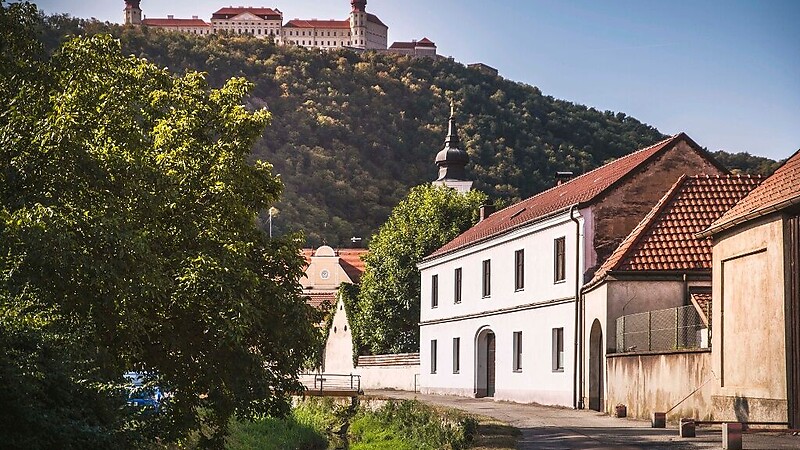 Zemljevid