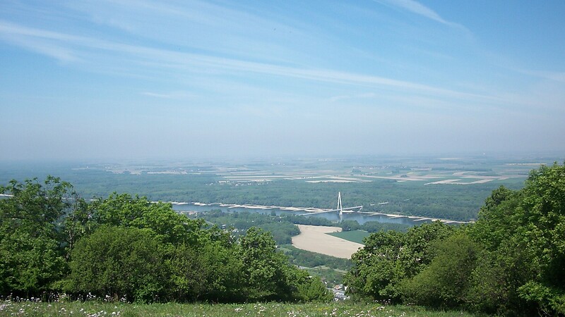 Zemljevid