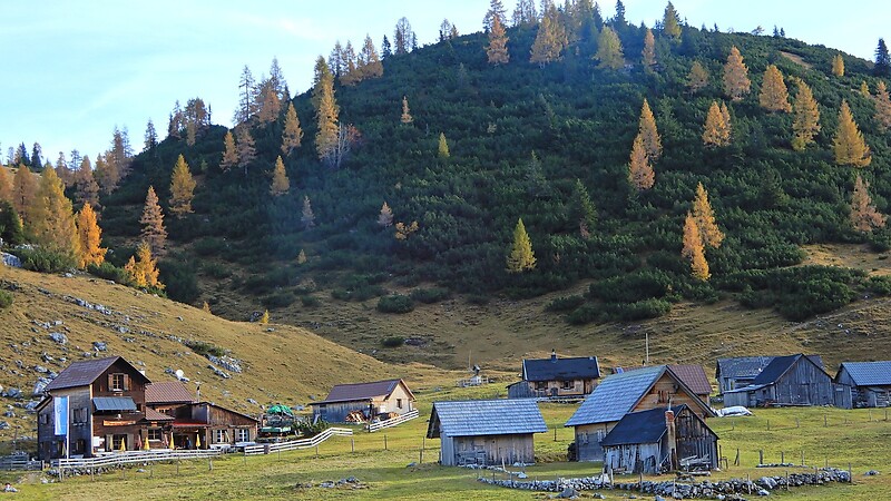 Zemljevid