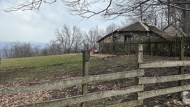 Zemljevid