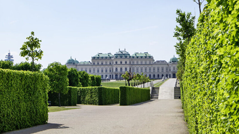 Zemljevid
