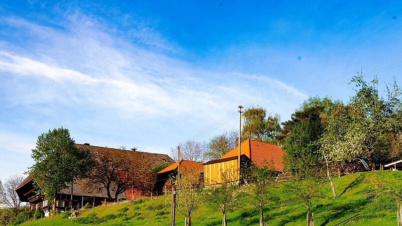 Zemljevid