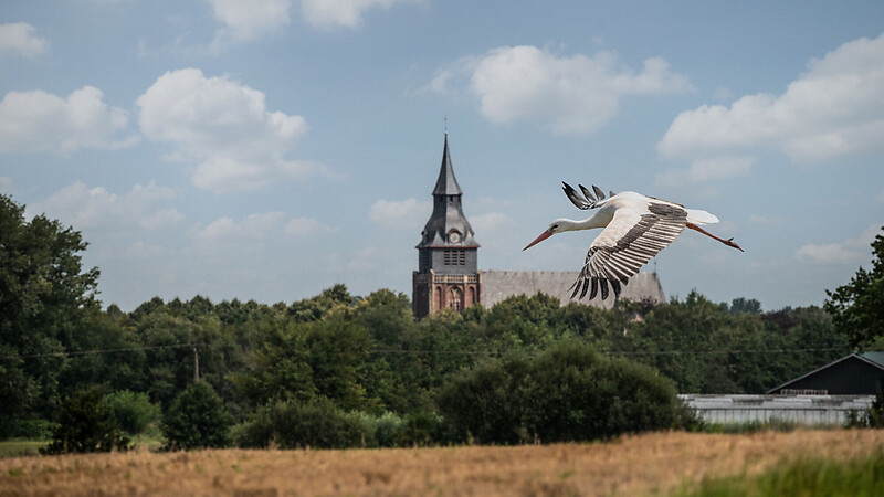 Zemljevid