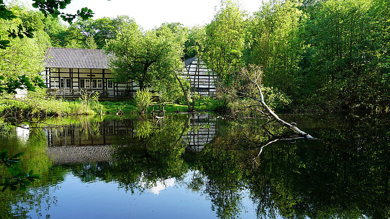 Zemljevid