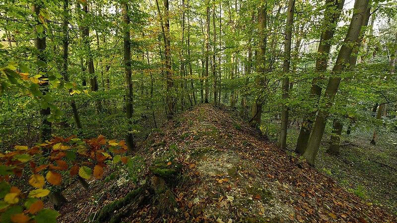Zemljevid