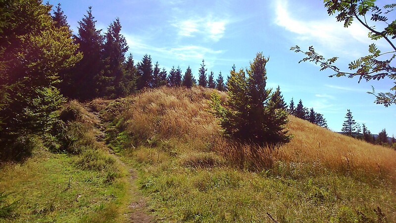 Zemljevid