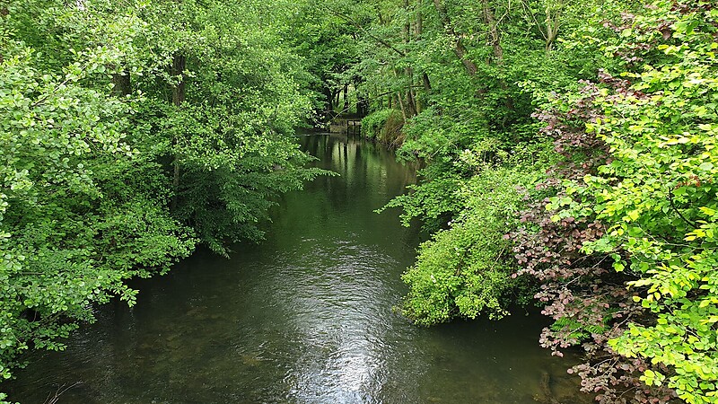 Zemljevid