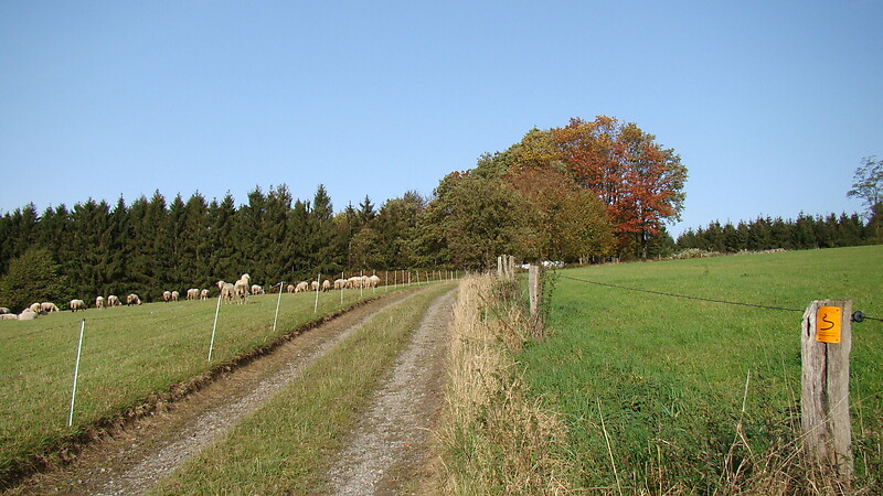 Zemljevid