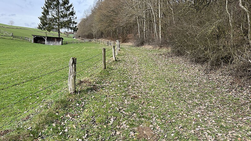 Zemljevid