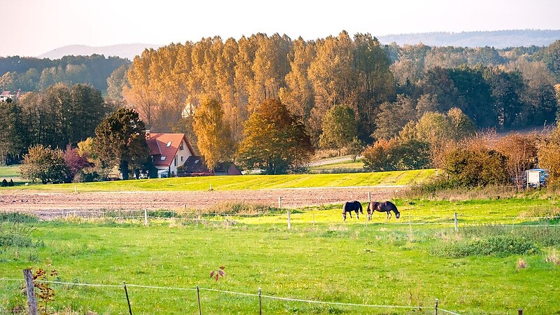 Zemljevid