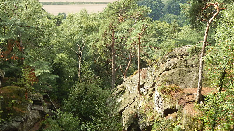 Zemljevid
