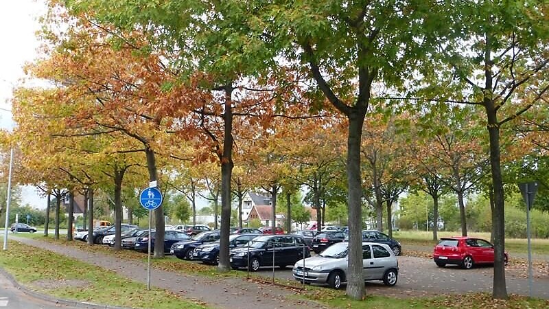 Zemljevid