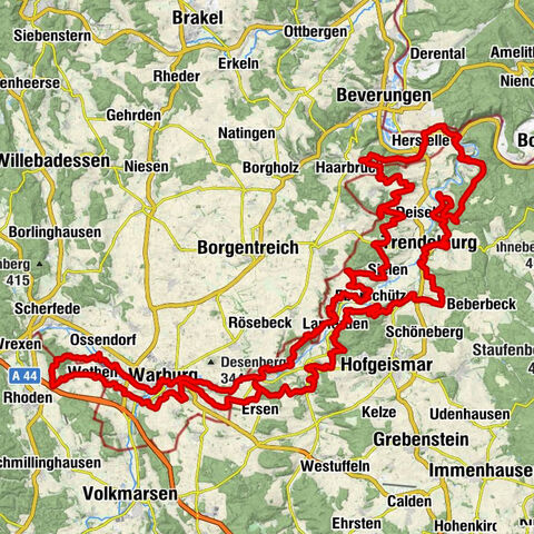 Diemeltaler Schmetterlings-Steig