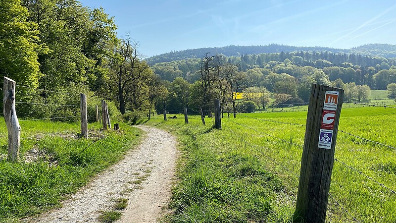 Zemljevid