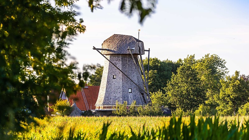 Zemljevid