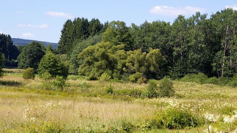 Zemljevid