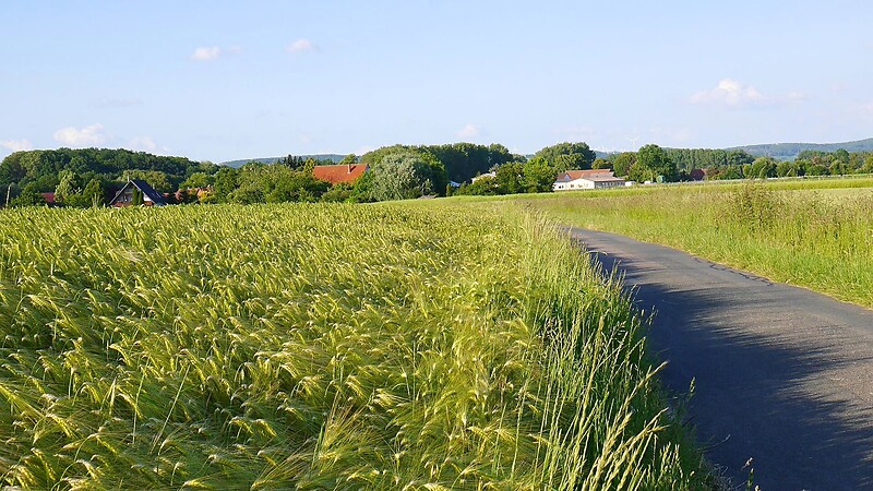 Zemljevid