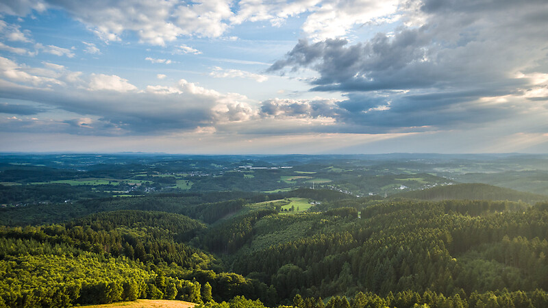 Zemljevid