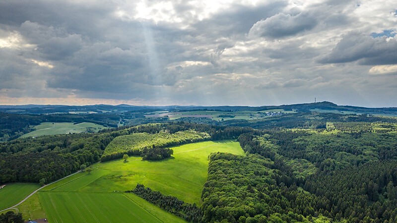 Zemljevid