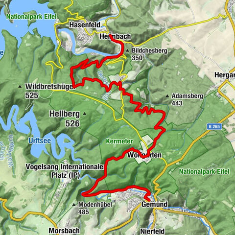 3. Etappe Wildnis-Trail