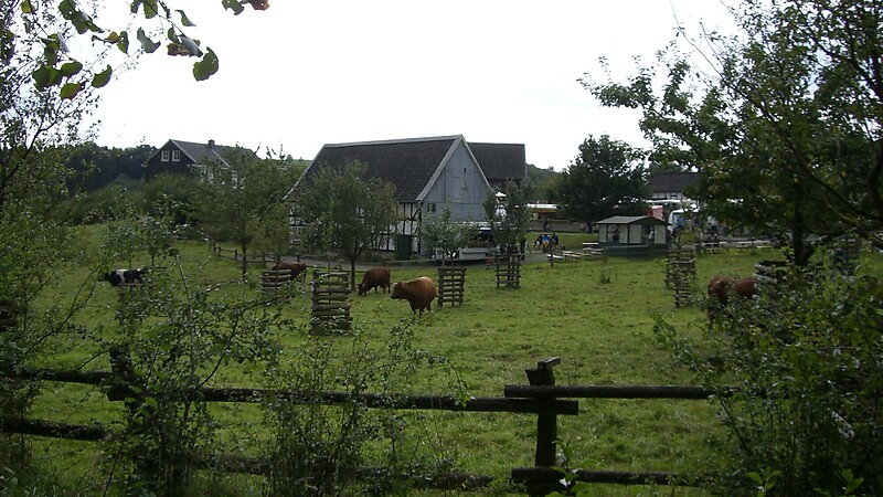 Zemljevid