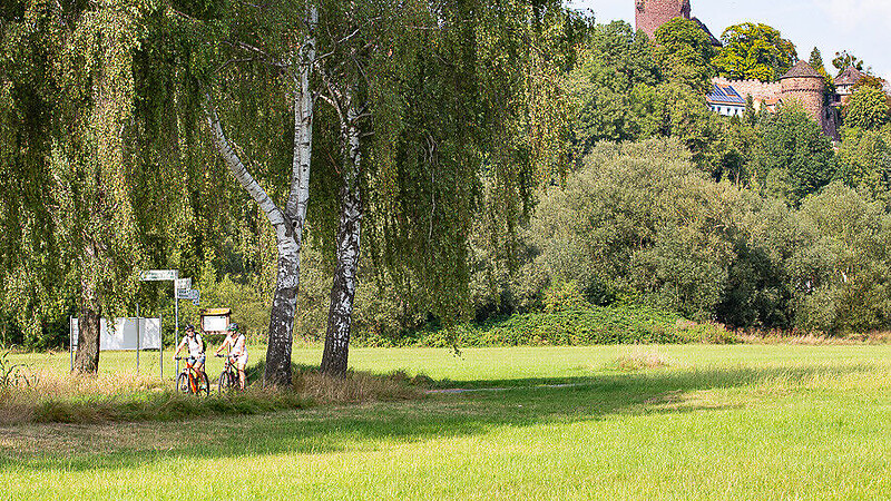 Zemljevid
