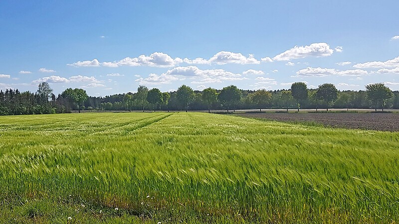 Zemljevid