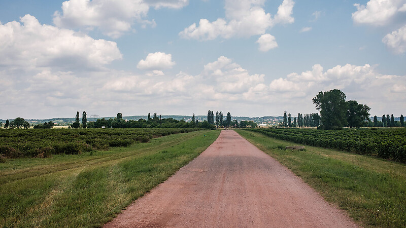 Zemljevid
