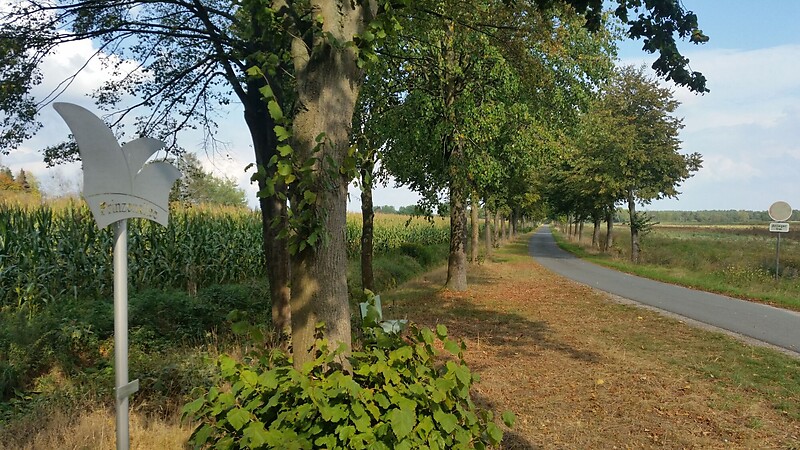 Zemljevid