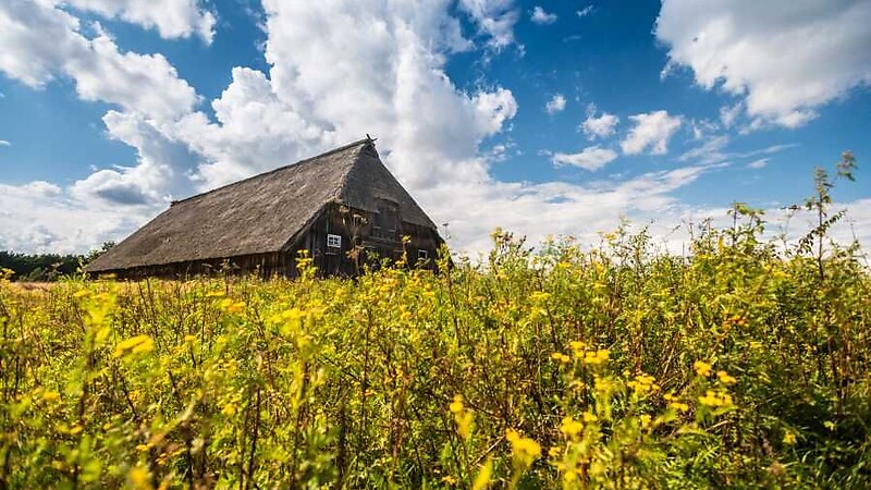 Zemljevid